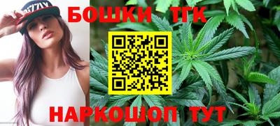 СК Обь