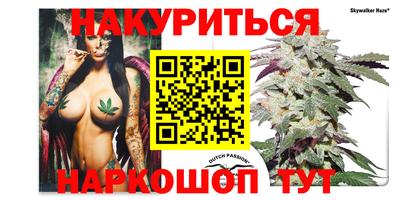 СК Обь