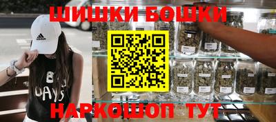 СК Обь