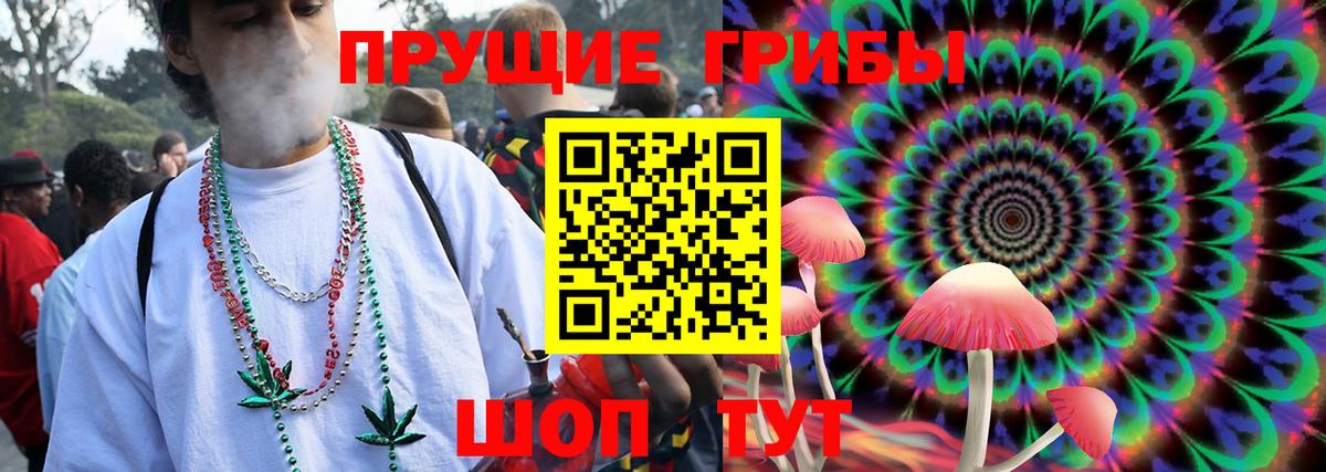 Псилоцибиновые грибы Magic Shrooms Торжок