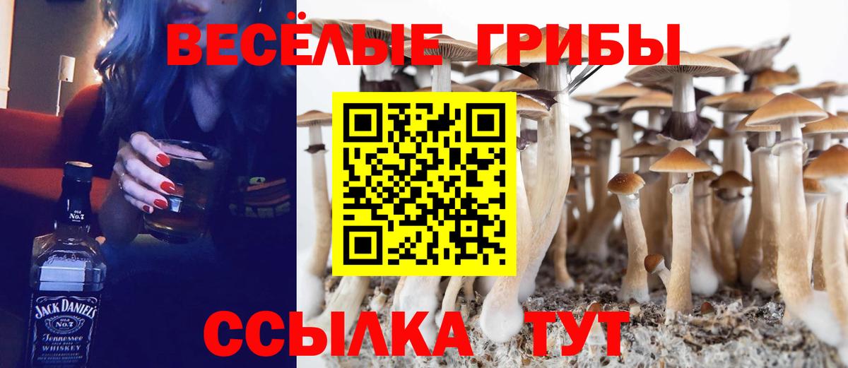 Торжок  Галлюциногенные грибы MAGIC MUSHROOMS  Вход с VPN 